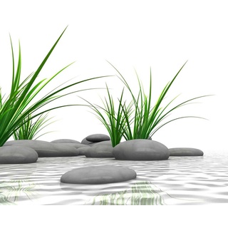 Breuer Duschrückwand Zen & Gras Foto über Eck 90x90x210x0,3 cm