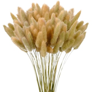 120 Stück Getrocknetes Pampasgras, Lagurus Getrocknet, Natürlicher Blumenstrauß, Bodenvase Deko, Künstlich Groß