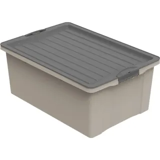 Rotho Eco Compact 40 x 25 x 57 cm 1-tlg. transparent