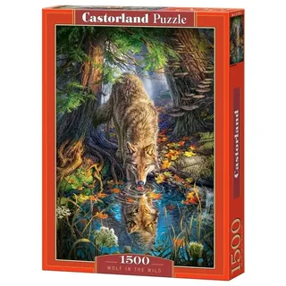 Castorland 5904438151707 C-151707-2 Wolf in The Wild, 1500 Teile Puzzle, bunt
