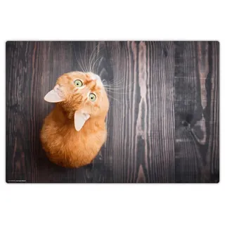 cover-your-desk Schreibtischunterlage Orange Katze 60 x 40cm Orange