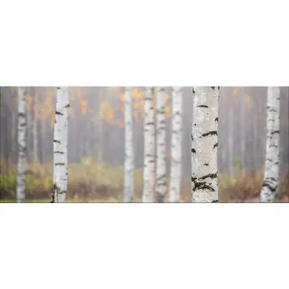 artissimo Glasbild, Beige, Glas, Baum/Pflanze/Natur, Rechteckig, 125x50 cm, Bilder und Zubehör, Wandbilder, Glasbilder