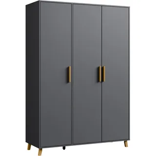 Rauch Drehtürenschrank Shinjo 140 x 203 x 53 cm Grau