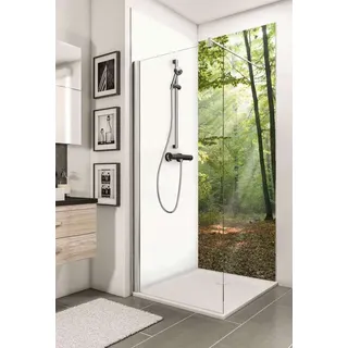 Schulte Decodesign Duschrückwand Foto Waldlichtung - Duschkabine