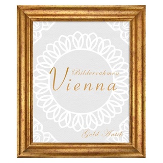 BIRAPA Einzelrahmen Bilderrahmen Vienna, (1 Stück), 50x70 cm, Gold Antik, Holz goldfarben 50 cm x 70 cm