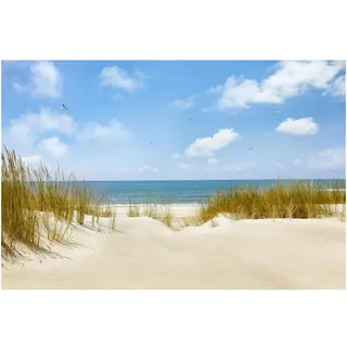 Bilderwelten Fototapete, Eiche, Papier, Wasser/Strand/Meer, Rechteckig, 288x190 cm, Tapeten & Wandverkleidungen, Fototapeten