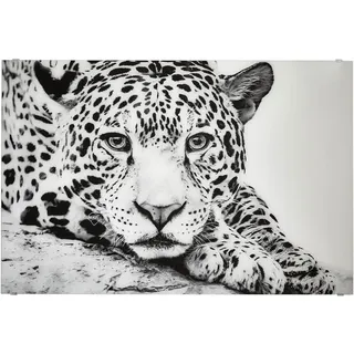 Monee Glasbild, Schwarz, Weiß, Glas, rechteckig, 120x80 cm, Fotografie, einfache und schnelle Anbringung, glänzend, Bilder und Zubehör, Wandbilder, Glasbilder