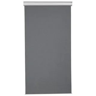 LIVARNO home Automatik-Verdunkelungsrollo, »Zigbee Smart Home«, 100 x 195 cm -