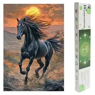 DCIDBEI Diamant Painting Bilder Pferd Springen 40x50cm Diamant Malerei Malen nach Zahlen Friese Pferd Diamond Painting Pferde Schwarz Sonnenuntergang Strass Stickerei Leidenschaft Mut Loyalität Box