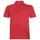 Poloshirt 88172 rot 6XL 8817217