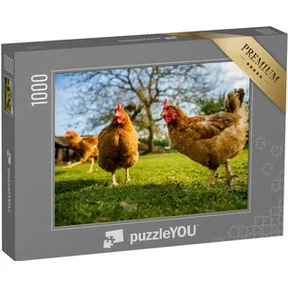 puzzleYOU: Puzzle 1000 Teile „Freilandhühner auf einem traditionellen Geflügelhof“ – aus der Puzzle-Kollektion Hühner & Küken, Bauernhof-Tiere