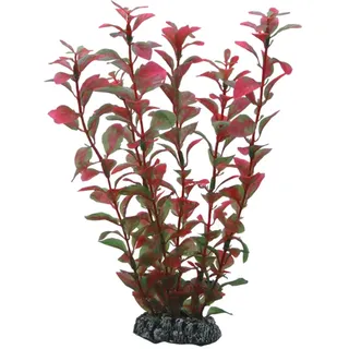 Hobby Aquariendeko Ludwigia 25 cm