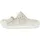 Eggshell 37