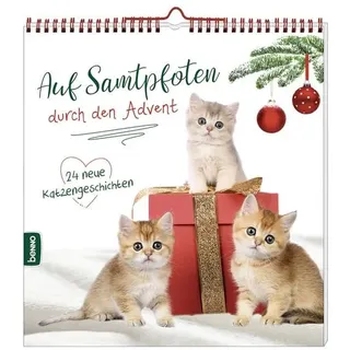 Auf Samtpfoten durch den Advent