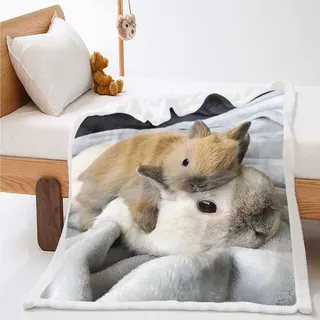 WEQEER kuscheldecke mit hase, Süßer Hase Druck Flauschige Fleecedecke Für Kinder, Märchen Tier Sofadecke Für Jungen Und Mädchen Kinde (5,100x140cm)