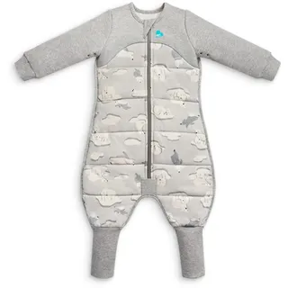 Love To DreamTM Schlafanzug mit Beinen, 6–12 Monate – Grau | Langärmlig, leichte tragbare Decke | 3,5 Tog für Winter & Herbst (14–16 °C) | Baumwolle, maschinenwaschbar, Doppelreißverschluss