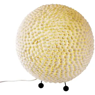 ETC Shop Muschel Tisch Lampe Weiß