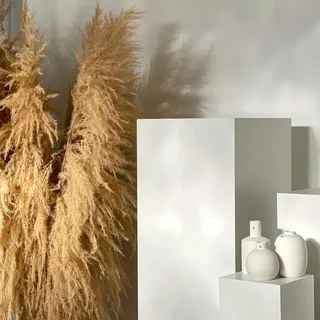 Lykke & You Pampasgras, Braun, Naturmaterialien, 115 cm, Dekoration, Blumen & Zubehör, Trockenblumen