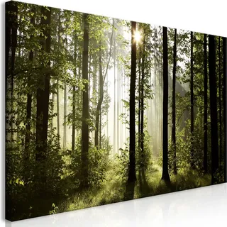 Wandbild Mega XXXL Wald 250x125 cm Einteiliger XXL-Format Kunstdruck zur Selbstmontage Leinwandbilder moderne Bilder DIY Wanddekoration Wohnung Dek...
