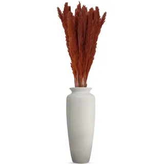 Generisch Pampasgras groß 20 Stiele Trockenblumen zum basteln Bunte Farben Trockenblumenstrauß Boho deko Trockenblumen Deko Pampasgras Pflanze echte Blumen getrocknet im Set (Braun)