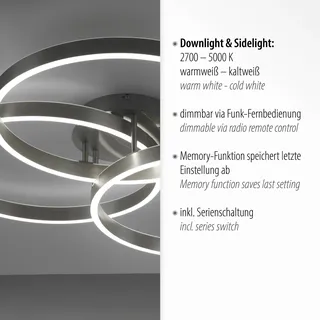Paul Neuhaus LED-Deckenleuchte Paan Alu, Eisen, Stahl & Metall