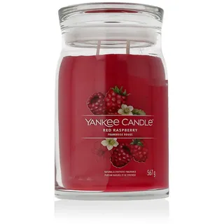 Yankee Candle Red Raspberry große Kerze 567 g
