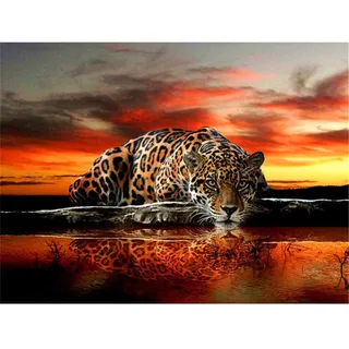 Yingxin34 Klassische Puzzles 1000 Teile, Leopard am Wasser Puzzle, Puzzle Kreative, Impossible Puzzle, Puzzle Pädagogisches, Farbenfrohes Puzzle, Puzzle für Erwachsene Kinder-30x20 Zoll (75 x 50cm)