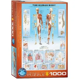 Eurographics 6000-1000 - Der menschliche Körper , Puzzle, 1.000 Teile