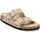 schmal triples sandcastle oyster 40