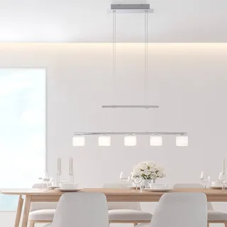 Paul Neuhaus GREZIA 5-flg. 80 x 120 cm silber grau weiß Stahl Glas