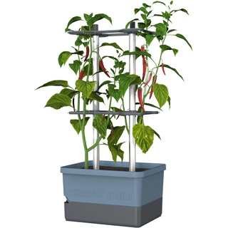 Gusta Garden Charly Chili Drinnen/Draußen Topfpflanzer Freistehend Polypropylen (PP), Aluminium Blau