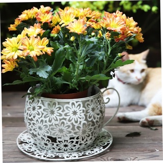 Hemore Blumentöpfe, 6 -Zoll -Kaffee -Tassen -Pflanzen -Topf, Vintage Blumenhöhle Sukkulente Pflanzer, Aufbewahrungskorb für Hausgartendekoration (weiß)