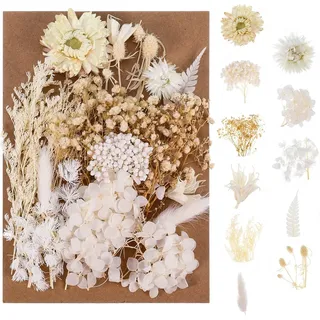 Trockenblumen, Natürliche Getrocknete Blumen, Trockenblumen zum Basteln Klein Set ​für DIY Kunst Basteln Deko Epoxidharz Kunsthandwerk Scrapbooking