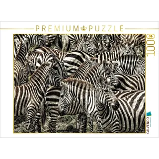 Calvendo Zebras....schwarz- weiss streifen 1000 Teile