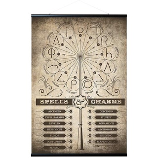 Erik Magnetische Posterleiste mit Poster - Harry Potter Zaubersprüche und Verwünschungen - Poster mit Rahmen