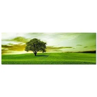 PANORAMA BILD 150x50cm (Baum Feld einsam) ART PRINT Wandbilder Bilder EXKLUSIVES Fotowandbild auf Leinwand und Keilrahmen Bild Leinwandbild Fotodruck modern Zeitlos Stilvoll wie ein Gemälde