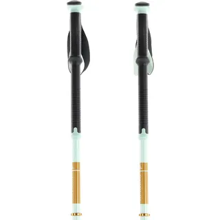 Black Diamond Tourenskistöcke Traverse Pro Foam Green 155
