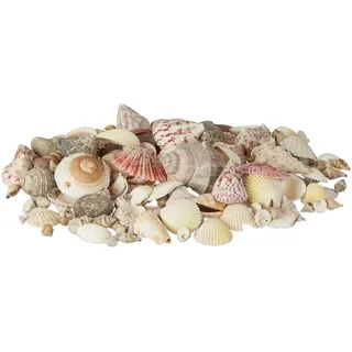 Relaxdays Muschel Deko im Set, mit Meeresschnecken, Jakobsmuscheln, Stranddeko zum Basteln, maritim 1kg, bunt