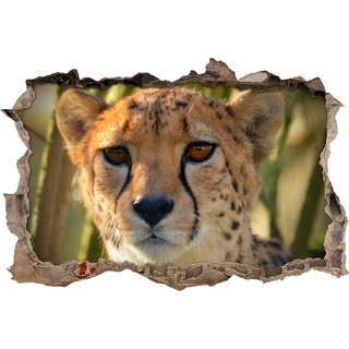 Pixxprint 3D_WD_S1490_92x62 anmutiger Gepard im Dschungel Wanddurchbruch 3D Wandtattoo, Vinyl, bunt, 92 x 62 x 0,02 cm