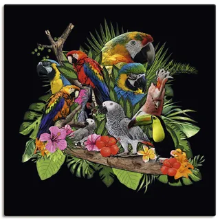 Wandbild ARTLAND "Papageien Graupapagei Kakadu Dschungel" Bilder Gr. B/H: 100 cm x 100 cm, Leinwandbild Vögel quadratisch, 1 St., bunt Kunstdrucke als Alubild, Outdoorbild, Leinwandbild, Poster, Wandaufkleber