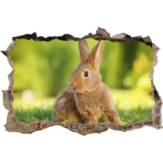 DesFoli Wandtattoo Kleines Kaninchen Hase - verschiedene Rahmentypen DW000106 Farbe Brauner Stein Querformat, Größe 90 cm x 60 cm