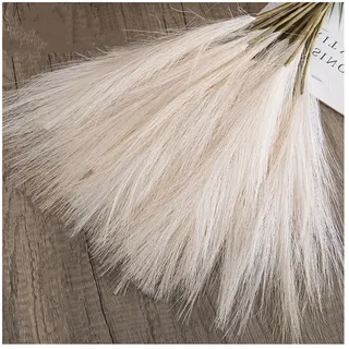 Rockreyoa Künstlich Pampasgras Flauschige Pampas Grass Pampasgras Deko Künstliche Pflanzen Trockenblumen für Boho Raum Dekor Wohnzimmer Vase Hochzeit Weihnachten Wohnkultur Beige 10 Stück