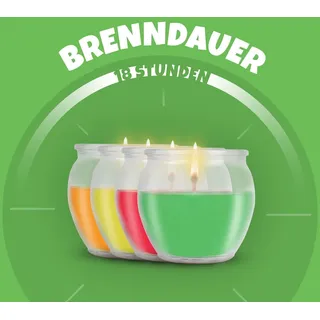 HS Candle Duftkerzen Selection 12 St. bunt