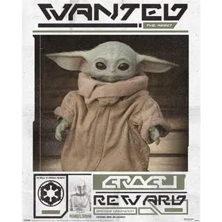 Pyramid Grogu Wanted Poster 40x50 cm