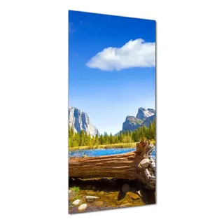 Wallario selbstklebende Duschrückwand 80 x 190 cm mit Motiv Baumstamm im Fluss zwischen Bergen und Wäldern - Wandverkleidung mit Hochglanzlaminat... - Schwarz