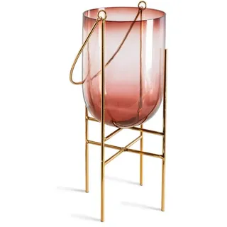 terra blumenkasten Blumenkasten 50x20cm mit Untersetzer & Balkonhalterung kaufen