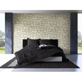 Newroom Vliestapete, Steintapete Beige Ziegelstein Backstein Mauerwerk Klinker Tapete Steinoptik Wohnzimmer Schlafzimmer Flur, Tapete Steinoptik Wohnzimmer grau