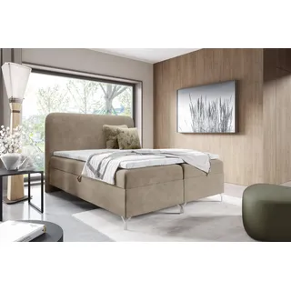 Fun Möbel Emilio 140 x 220 cm Beige