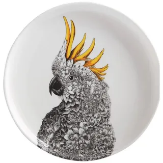 Maxwell & Williams Marini Ferlazzo Vögel Beilagenteller mit Kakadu Design, in Geschenkbox, Porzellan, Weiß 20 cm