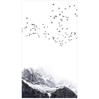 Duschrückwand - Vogelschwarm vor Bergen Schwarz Weiß, Material:Alu-Dibond Matt Schutzlackiert 3 mm, Größe HxB:1-teilig 210x80 cm